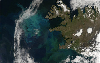 Blue and green in this satellite image show the spring bloom of plant plankton in the sea.